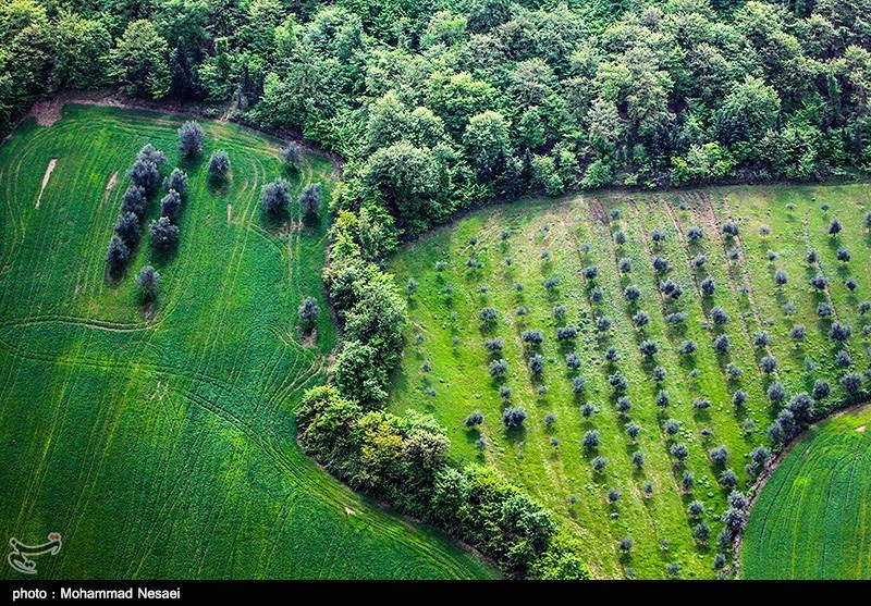 طبیعت بهاری گرگان