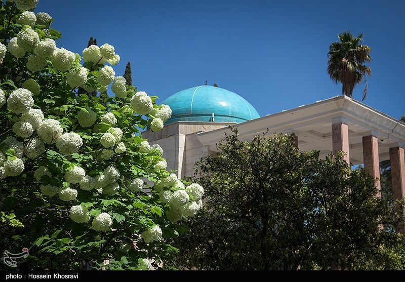 سعدیه شیراز