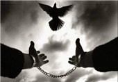سازش 3 فقره پرونده قتل در کرمان؛ 3 محکوم از چوبه دار رهایی یافتند