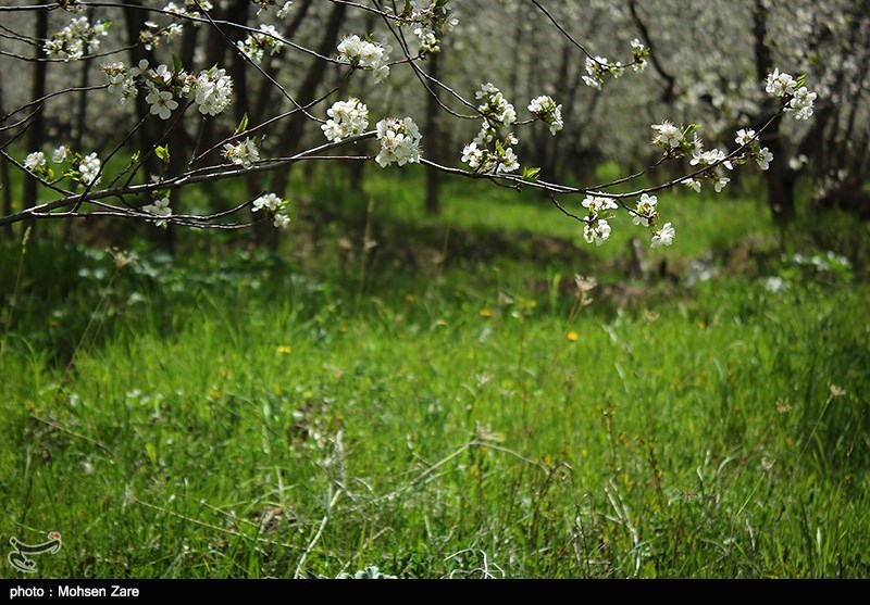 طبیعت بهاری اردبیل