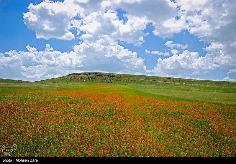 طبیعت بهاری اردبیل