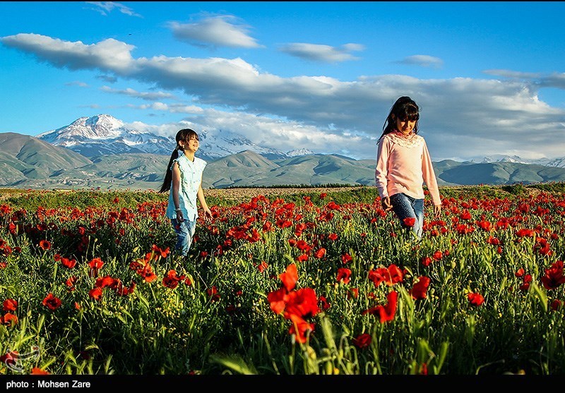 طبیعت بهاری اردبیل