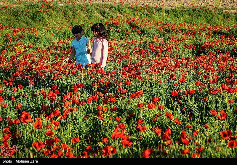 طبیعت بهاری اردبیل