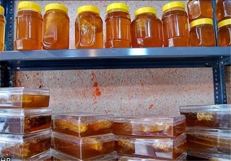 دومین نمایشگاه تخصصی عسل و فرآورده‌های زنبور عسل در سنندج برپا شد