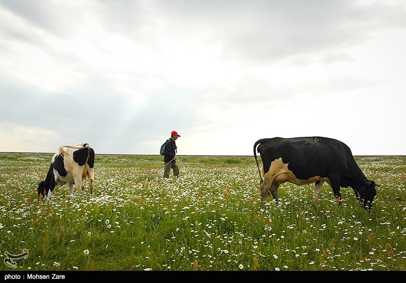 طبیعت بهاری اردبیل