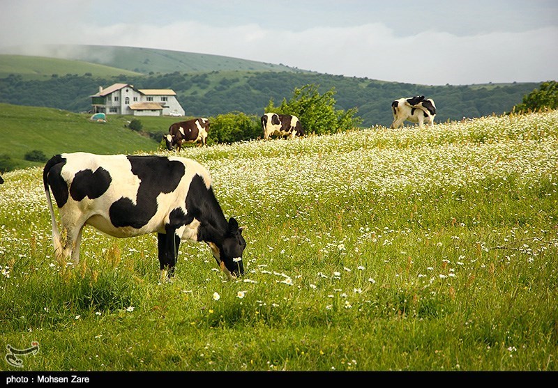 طبیعت بهاری اردبیل