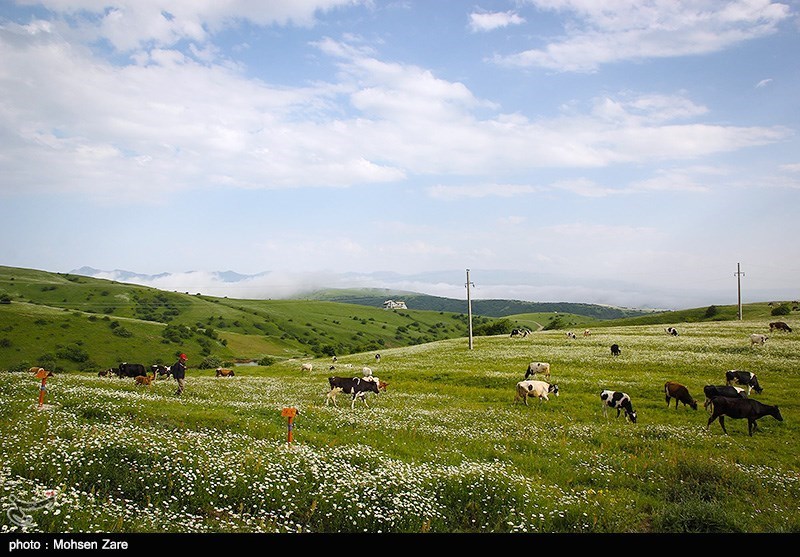 طبیعت بهاری اردبیل