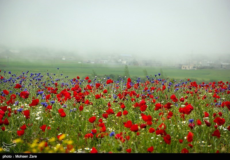 طبیعت بهاری اردبیل