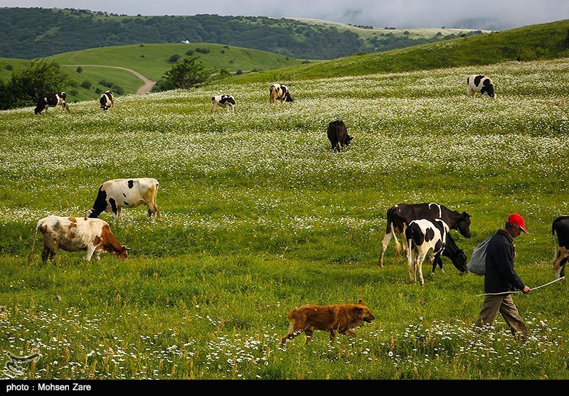 طبیعت بهاری اردبیل