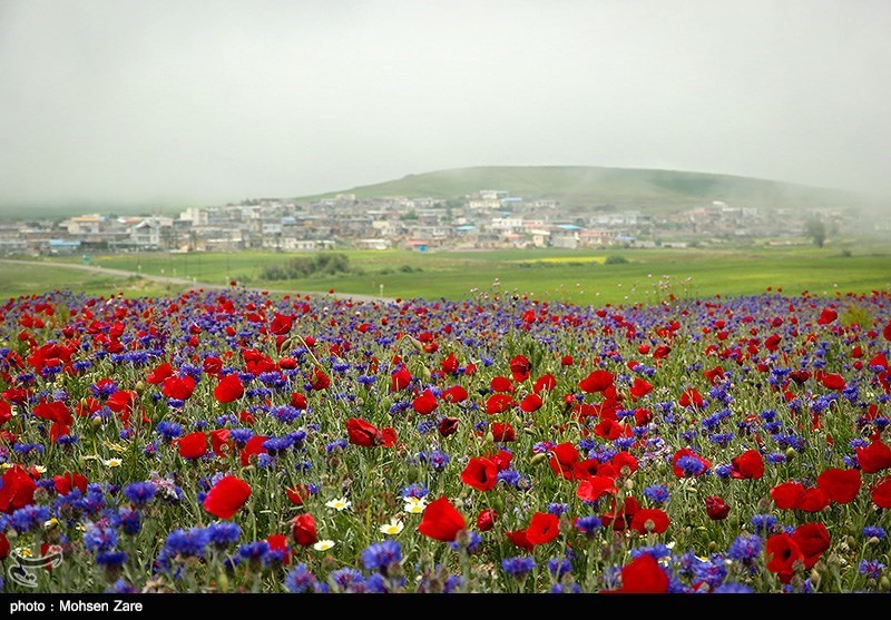 طبیعت بهاری اردبیل