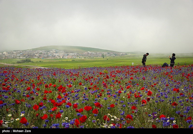 طبیعت بهاری اردبیل