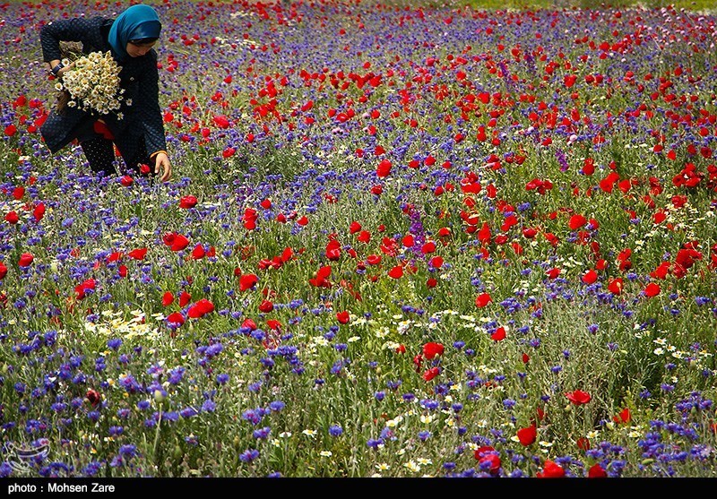 طبیعت بهاری اردبیل