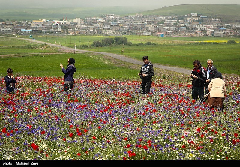 طبیعت بهاری اردبیل