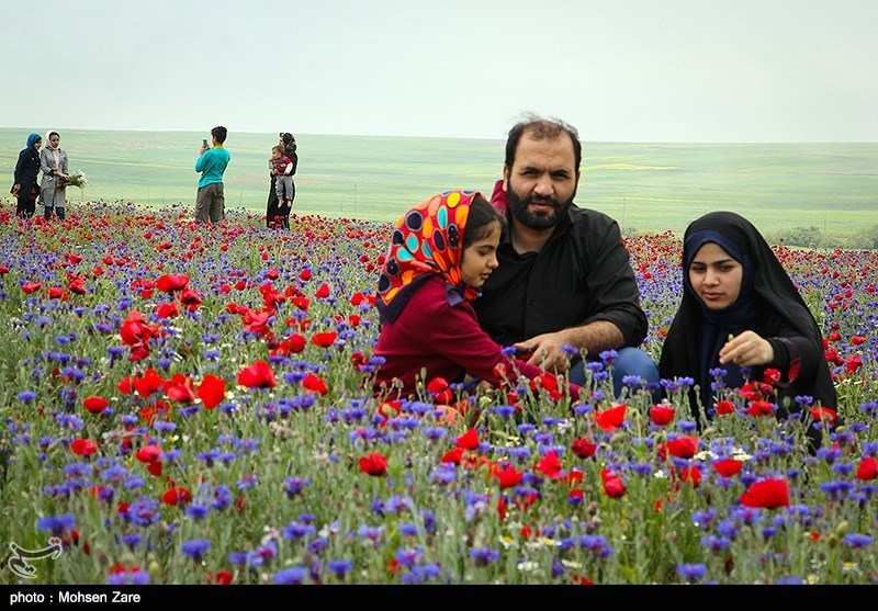 طبیعت بهاری اردبیل