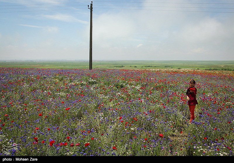 طبیعت بهاری اردبیل