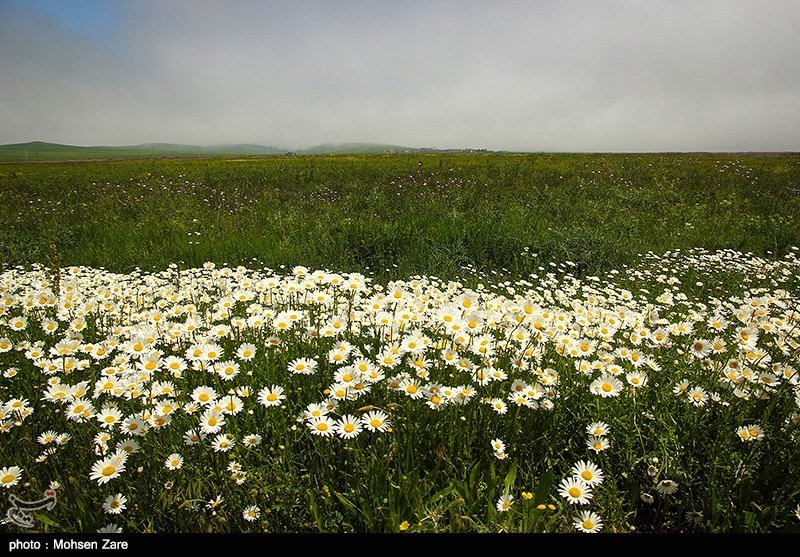 طبیعت بهاری اردبیل