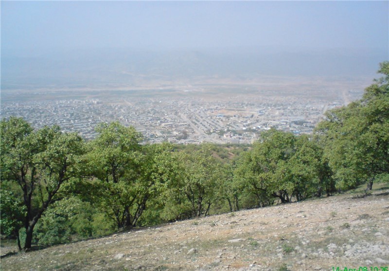 طبیعت , 
