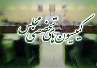 حضور 8 وزیر دولت در کمیسیون‌های مجلس