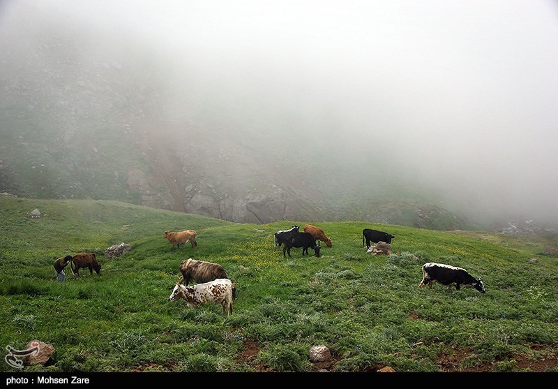 طبیعت سوباتان اردبیل