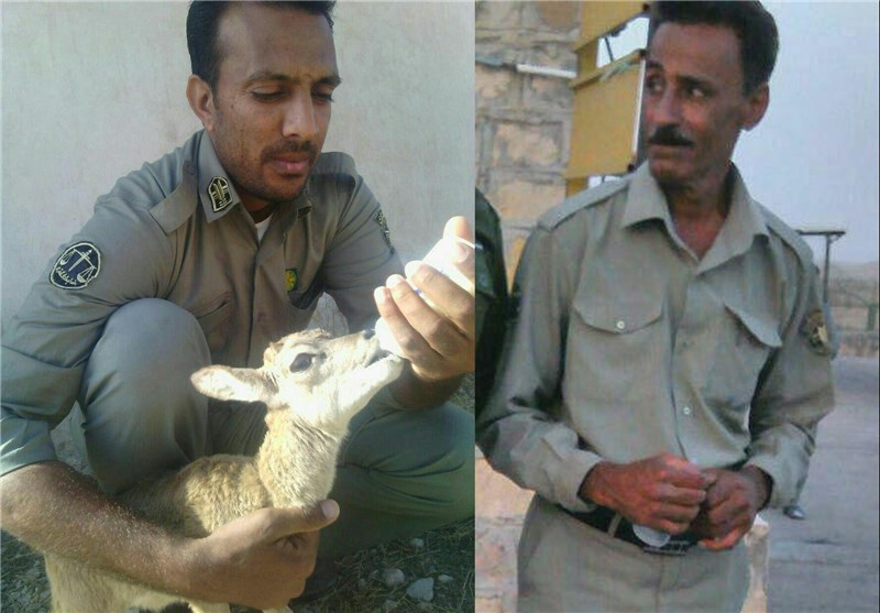 آئین گرامیداشت 119 شهید محیط بان محیط زیست برگزار شد