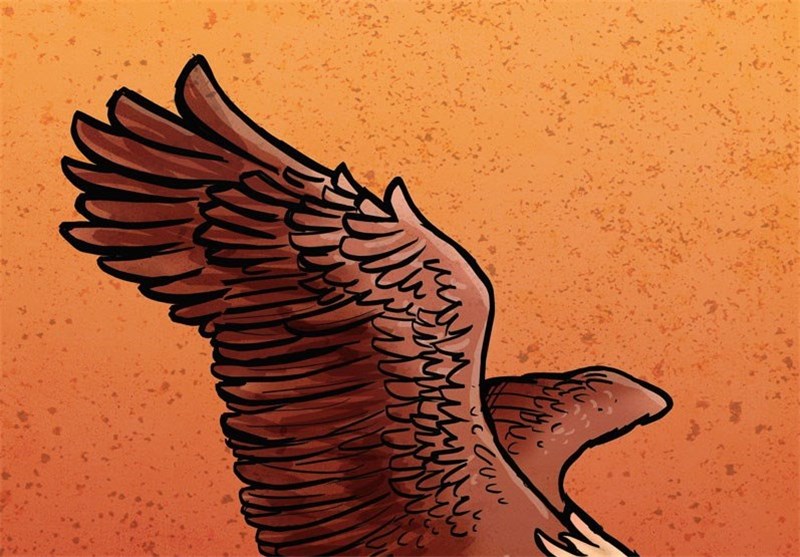 حقوق بشر آمریکایی/ علیرضا پاکدل