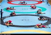 تمرین تیم ملی کشتی فرنگی