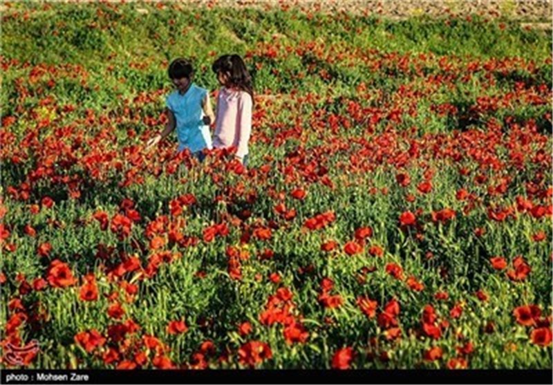 اردبیل کے قدرتی مناظر