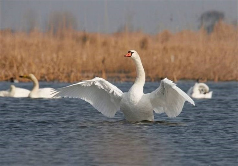 استان گلستان1