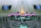 عملکرد دولت در کاهش آسیب‌های اجتماعی در مجلس بررسی شد