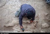 کشف آثار باستانی با قدمت یازده هزار سال در کرمانشاه
