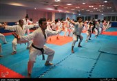 هنر رزمی نیرو در طی 22 سال حضور فعال در عرصه ورزش کشور موفق شده است که محیطی سالم برای پرورش استعدادهای رزمی را به وجود آورد.