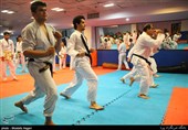 بنیان‌گذار این رشته، استاد امیر لطفی آزاد است که با پشت‌سر گذاشتن دو سفر به رشته کوه‌های هیمالیا و کسب مدرک استادی ارشد از انگلستان، این رشته را بنیان گذارد.