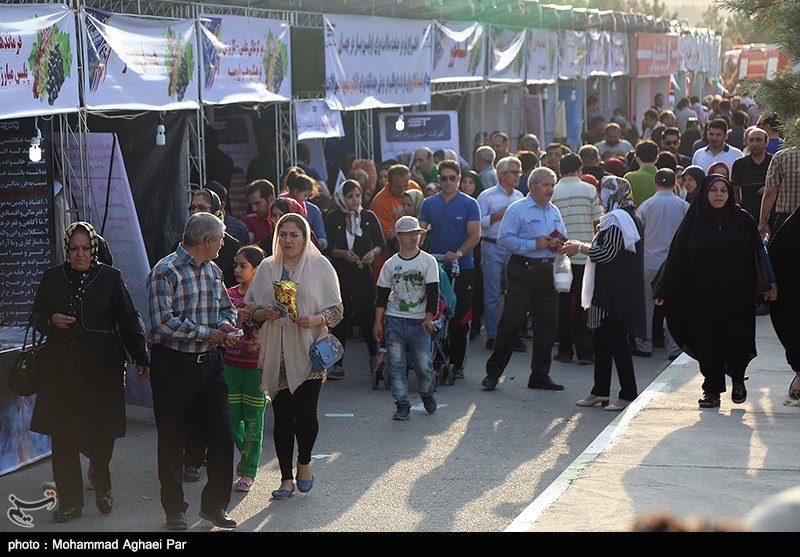 جشنواره انگور