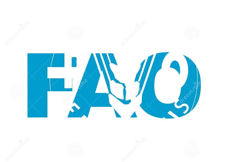 قیمت جهانی مواد غذایی 10 درصد رشد کرد