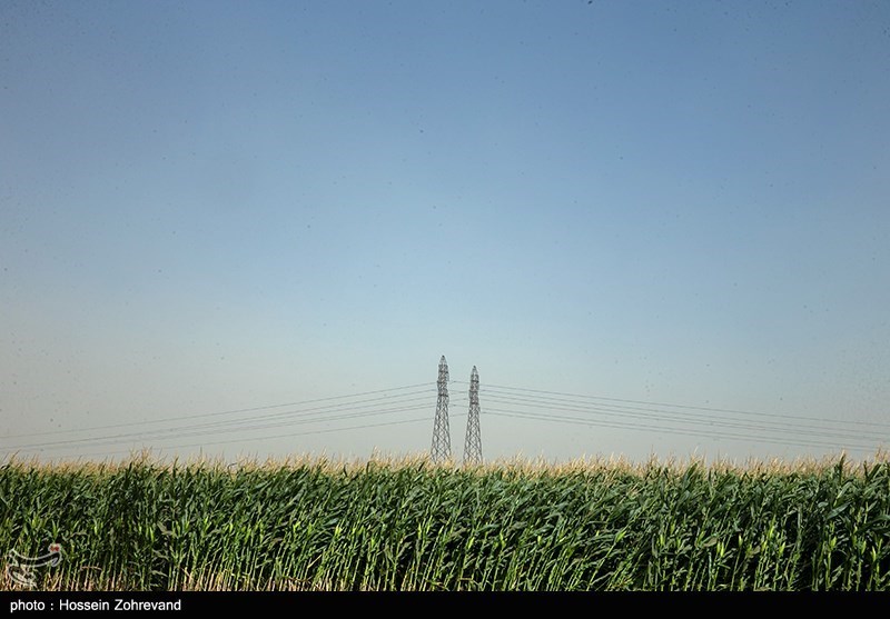 کمیسیون کشاورزی مجلس , آب و هوا , 