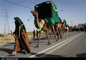 حرکت نمادین ورود کاروان امام حسین(ع) به کربلا - همدان