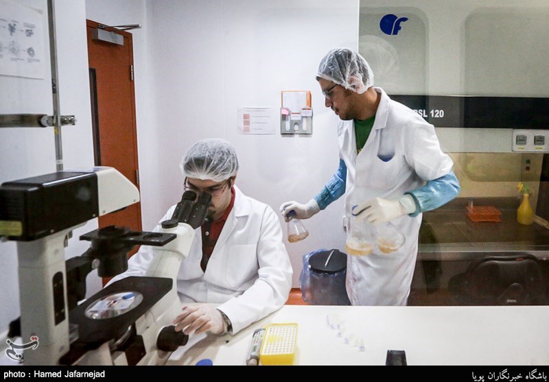 شرکت دانش بنیان آریوژن