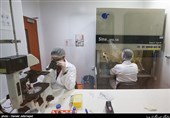 شرکت دانش بنیان آریوژن به دلیل بهره گیری ار آخرین استانداردهای اروپایی برای تولید دارو توانسته علاوه بر تامین نیازهای داخلی و منطقه بخشی از نیازهای بازارهای اروپایی را تامین کند.