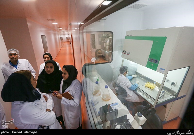 شرکت دانش بنیان آریوژن