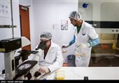 پژوهشگران دانش بنیان آریوژن در حال تحقیق، توسعه و تولید داروهای نوترکیب 