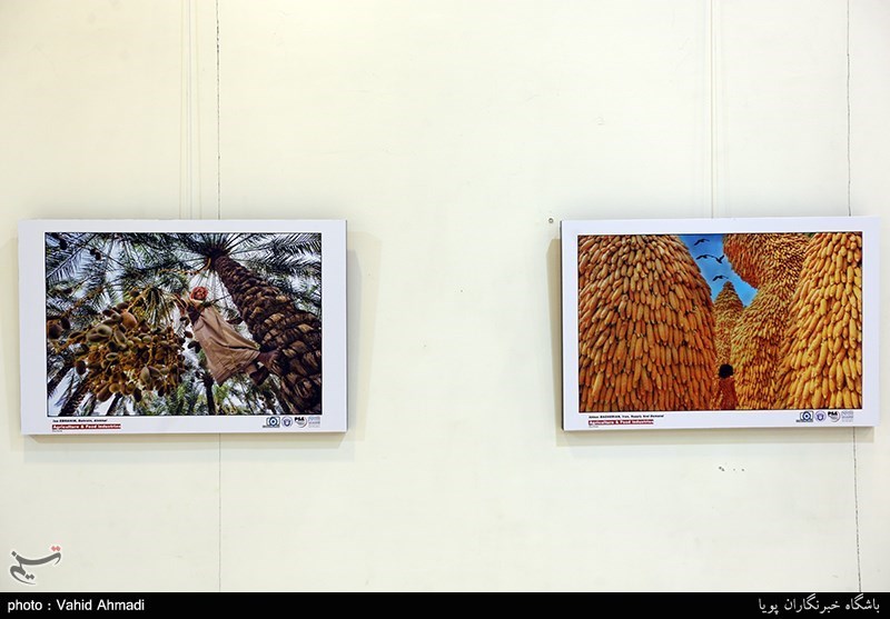 سومین جشنواره بین المللی عکس خیام