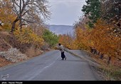 طبیعت پاییزی روستای نران - کردستان