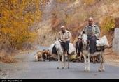 طبیعت پاییزی روستای نران - کردستان