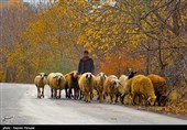 طبیعت پاییزی روستای نران - کردستان
