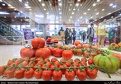 سنندج میزبان اندیشه‌های نوین باغبانی؛ توسعه 50 هزار هکتاری باغات