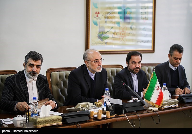 دیدار و کنفرانس خبری مشترک یوکیا آمانو و علی‌اکبر صالحی