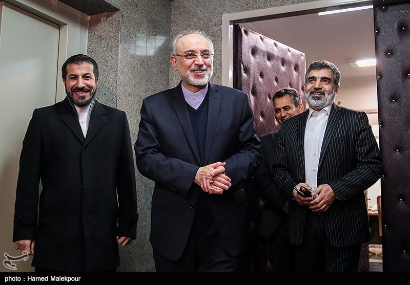 دیدار و کنفرانس خبری مشترک یوکیا آمانو و علی‌اکبر صالحی