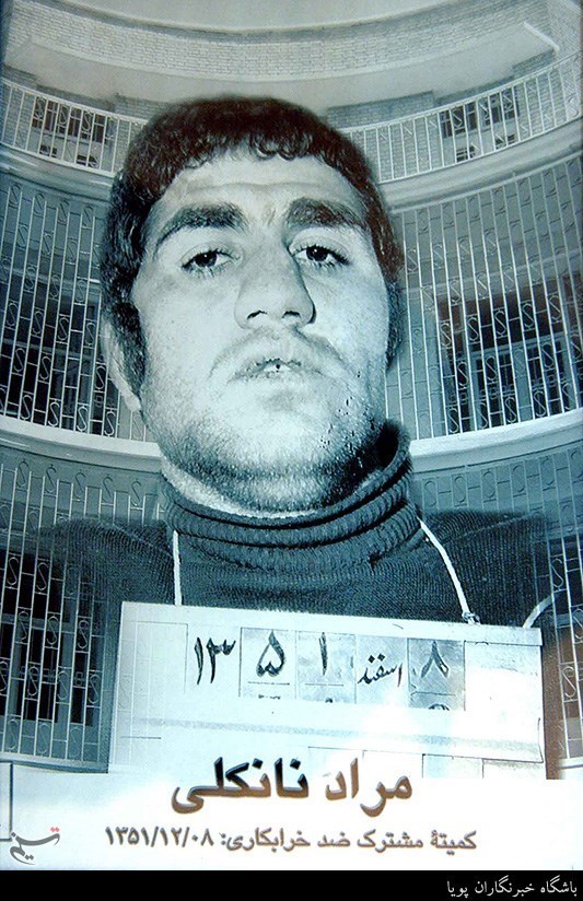 مراد نانکلی