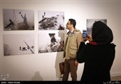 افتتاح نمایشگاه عکس «عشق و آتش» کار گروهی عکاسان باشگاه خبرنگاران پویا(تسنیم) 