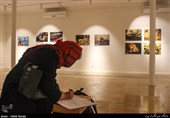نمایشگاه عکس(عشق و آتش)